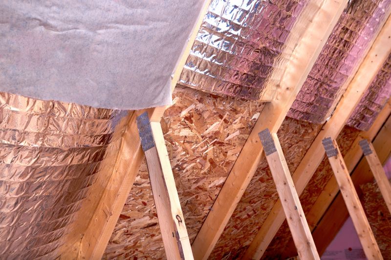 Rafter Insulation Installation in Georgetown, TX